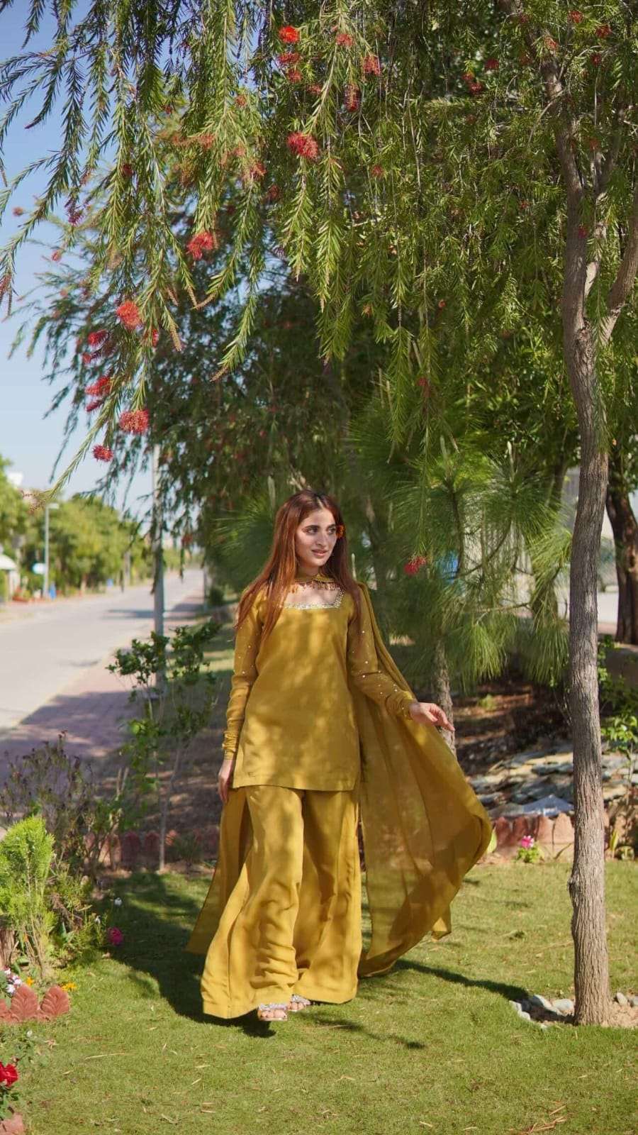 Sunflower 🌻