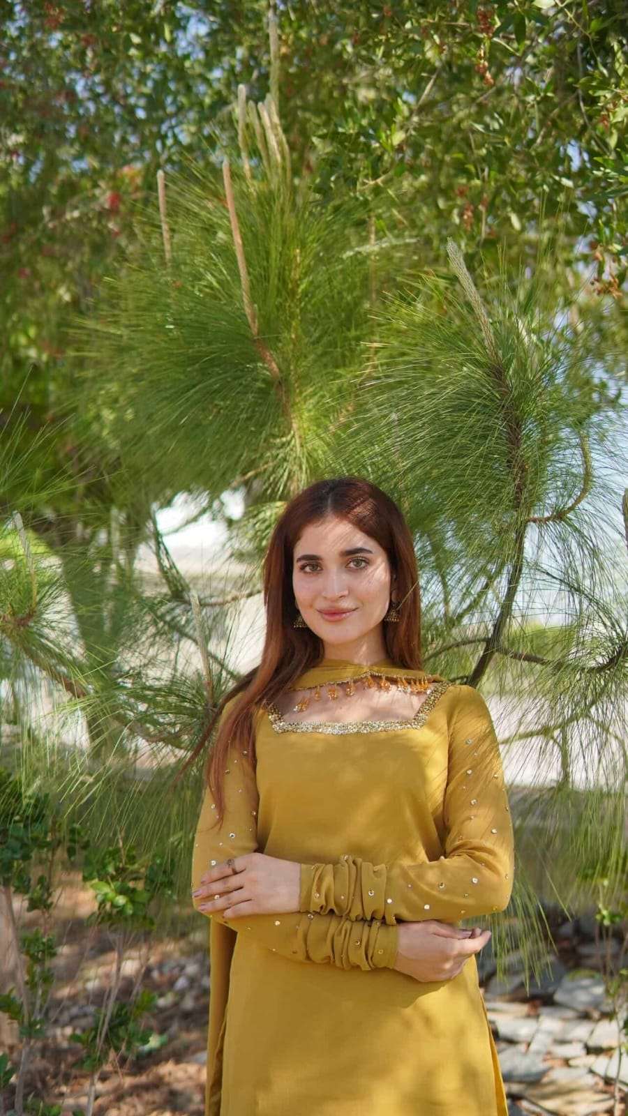 Sunflower 🌻