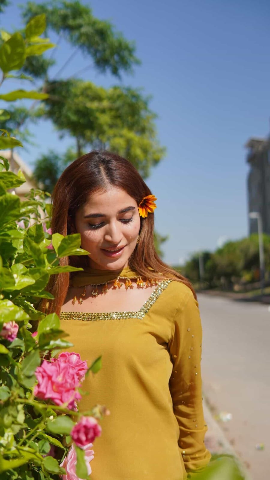 Sunflower 🌻