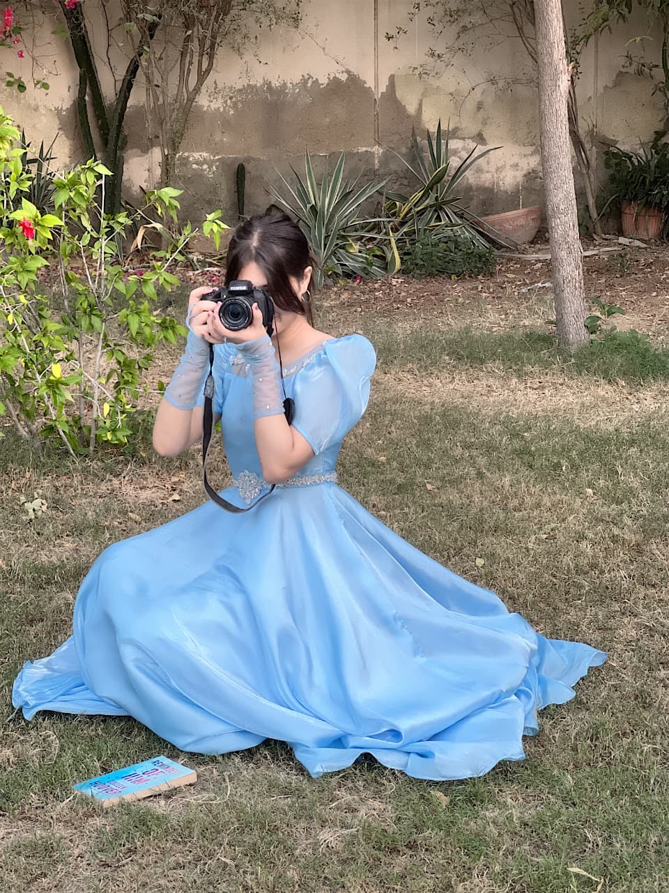 ✨ Cinderella Frock